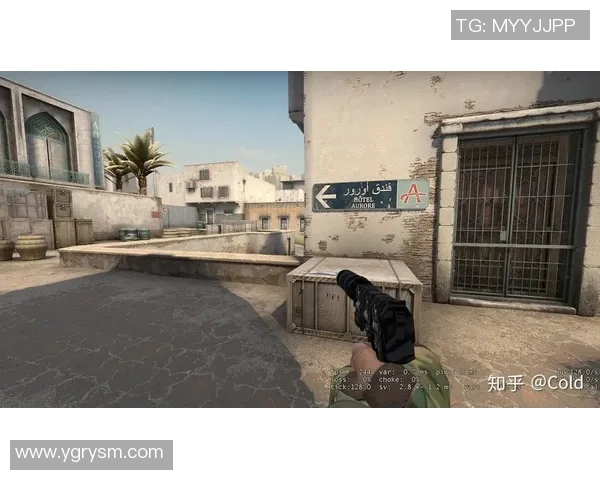 CSGO战术分析：深入探讨WE战队的边路渗透策略与执行