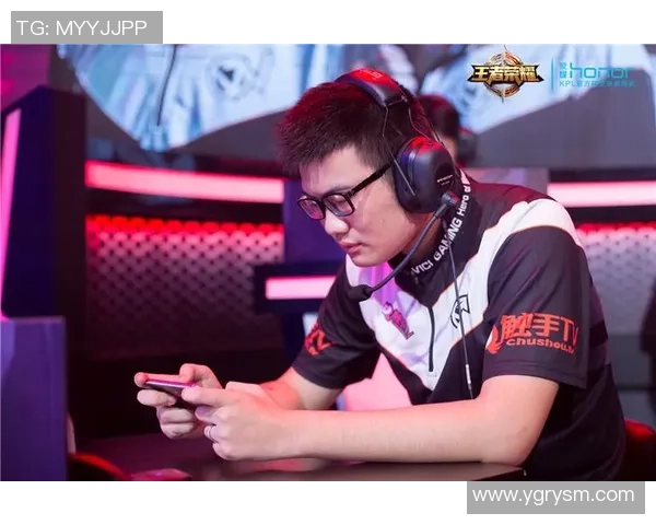 TES的崛起之路：从挑战到荣耀的精英赛特别回顾