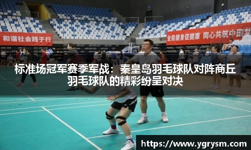 标准场冠军赛季军战：秦皇岛羽毛球队对阵商丘羽毛球队的精彩纷呈对决