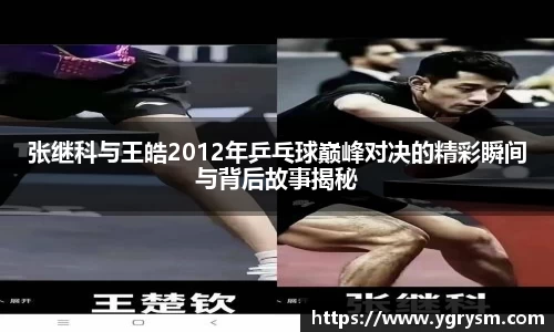 张继科与王皓2012年乒乓球巅峰对决的精彩瞬间与背后故事揭秘