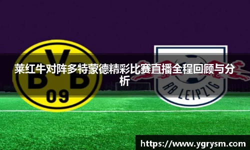 莱红牛对阵多特蒙德精彩比赛直播全程回顾与分析